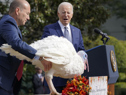 Biden White House Holidays