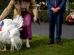 Biden White House Holidays