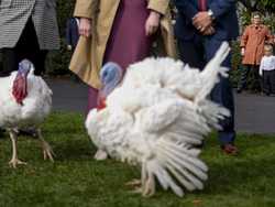 Biden White House Holidays