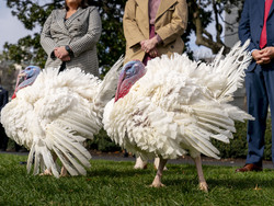 Biden White House Holidays