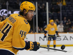 Avalanche Predators Hockey