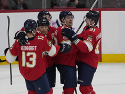 Oilers Panthers Hockey