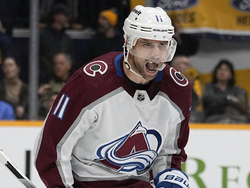 Avalanche Predators Hockey