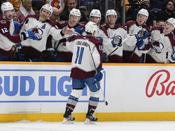 Avalanche Predators Hockey