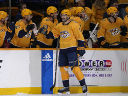 Avalanche Predators Hockey