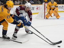Avalanche Predators Hockey