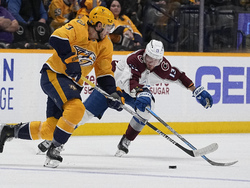 Avalanche Predators Hockey