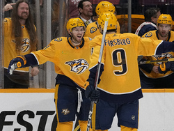 Avalanche Predators Hockey