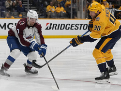 Avalanche Predators Hockey