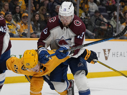 Avalanche Predators Hockey