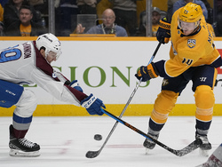 Avalanche Predators Hockey