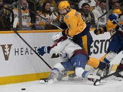 Avalanche Predators Hockey