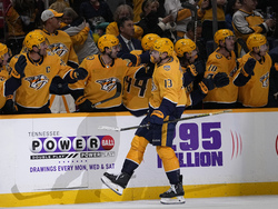 Avalanche Predators Hockey