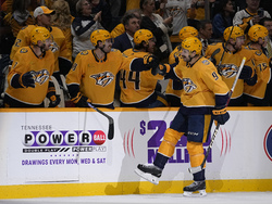 Avalanche Predators Hockey