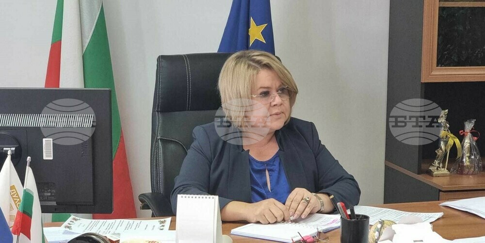 Все още се възстановява електроподаването след снежната буря в силистренската община Дулово