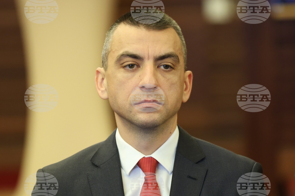 Електроенергийни мрежи и мрежови услуги - кръгла маса - Мартин Георгиев