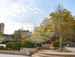 Снимка: Община Разград