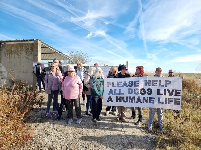  Село Роза - общински приют за кучета - лоши условия - протест
