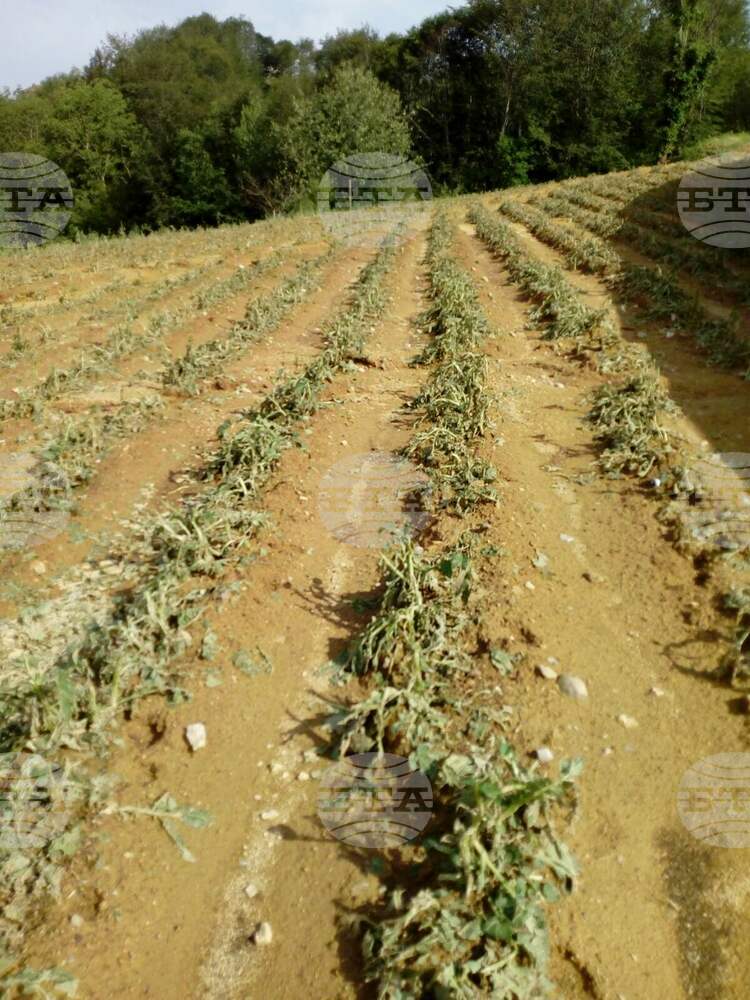 Hail Control Agency Says Its Protections Don’t Cover Hail-hit Areas in Southern Bulgaria