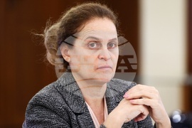 „Ефекти и дефекти на санирането на сгради в България“ - кръгла маса - Петкана Бакалова