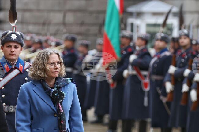 Посланик на Естония - президент - акредитивни писма