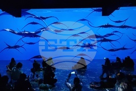 Румъния - компютърна фабрика - медийно изкуство