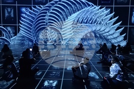 Румъния - компютърна фабрика - медийно изкуство