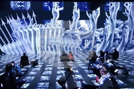 Румъния - компютърна фабрика - медийно изкуство