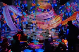 Румъния - компютърна фабрика - медийно изкуство