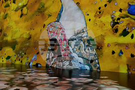 Румъния - компютърна фабрика - медийно изкуство