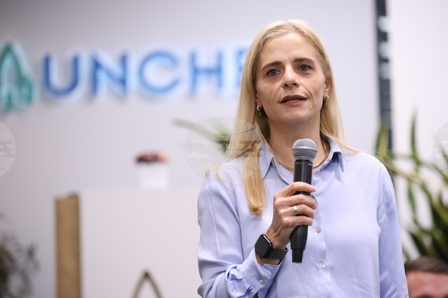 Институт за пазарна икономика - Регионални профили