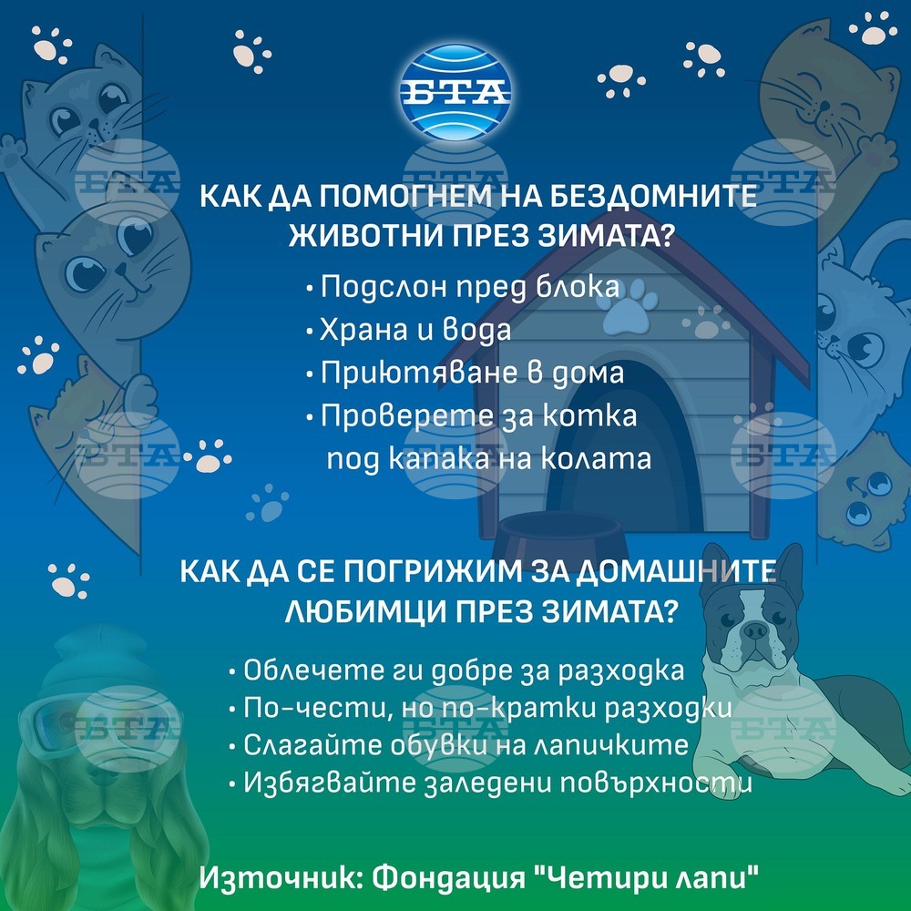 Направете подслон за бездомно животно пред блока или го приютете у дома през зимните месеци, призовават от фондация „Четири лапи“