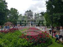 Община Плевен - 1 юни