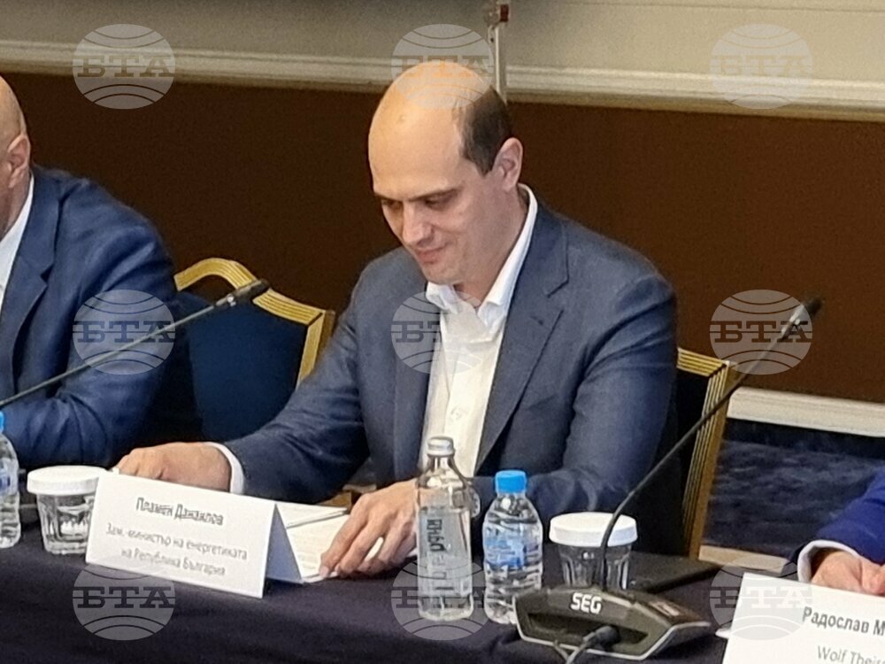 България се опитва максимално да се интегрира на пазарите на електроенергия, каза зам.-министър на енергетиката