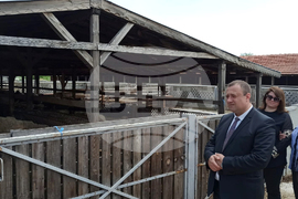 Монтана - Иван Иванов