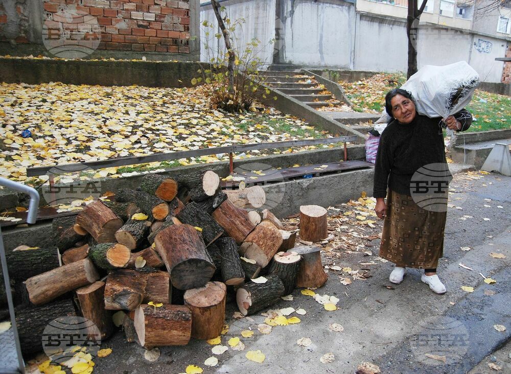 Целева помощ за отопление през зимата от държавата получават 11 533-ма души от област Монтана, броят им расте