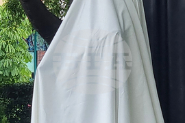 Варна - Шарл Азнавур - паметник - откриване