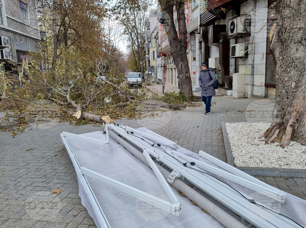 Варна - почистване след урагана