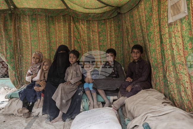 САБА: Япония и Международната организация по миграция ще финансират проект в йеменската провинция Мариб на стойност 5,3 млн. щатски долара 