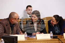 Парламент - Комисия по туризъм - заседание