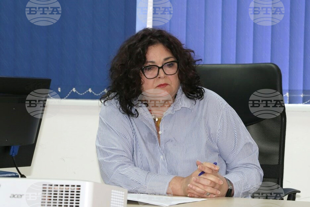 Общо 214 млн. лева са европейските инвестиции, влезли в област Видин през втория програмен период, каза Мариела Савкова, управител на ОИЦ