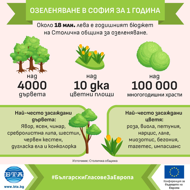 Над 4000 дървета се засаждат всяка година в столичните паркове и градини, както и по тротоари на улици и булеварди