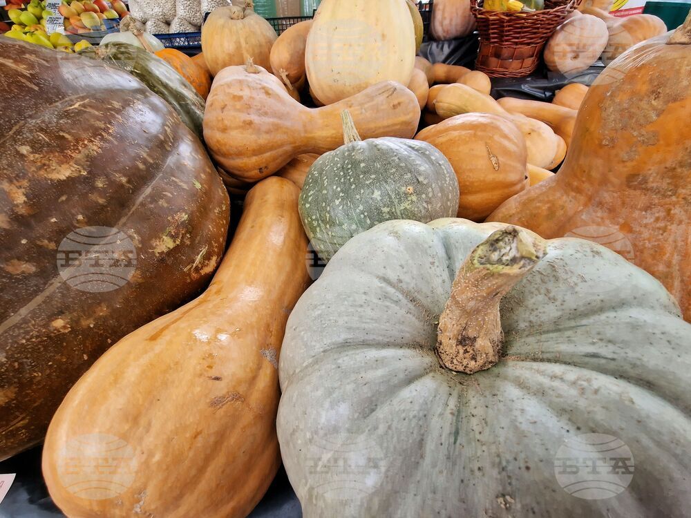 Food Prices Index Up 0,09% in Outgoing Week