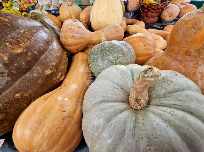 Food Prices Index Up 0,09% in Outgoing Week