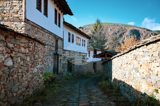 Село Ковачевица - изглед