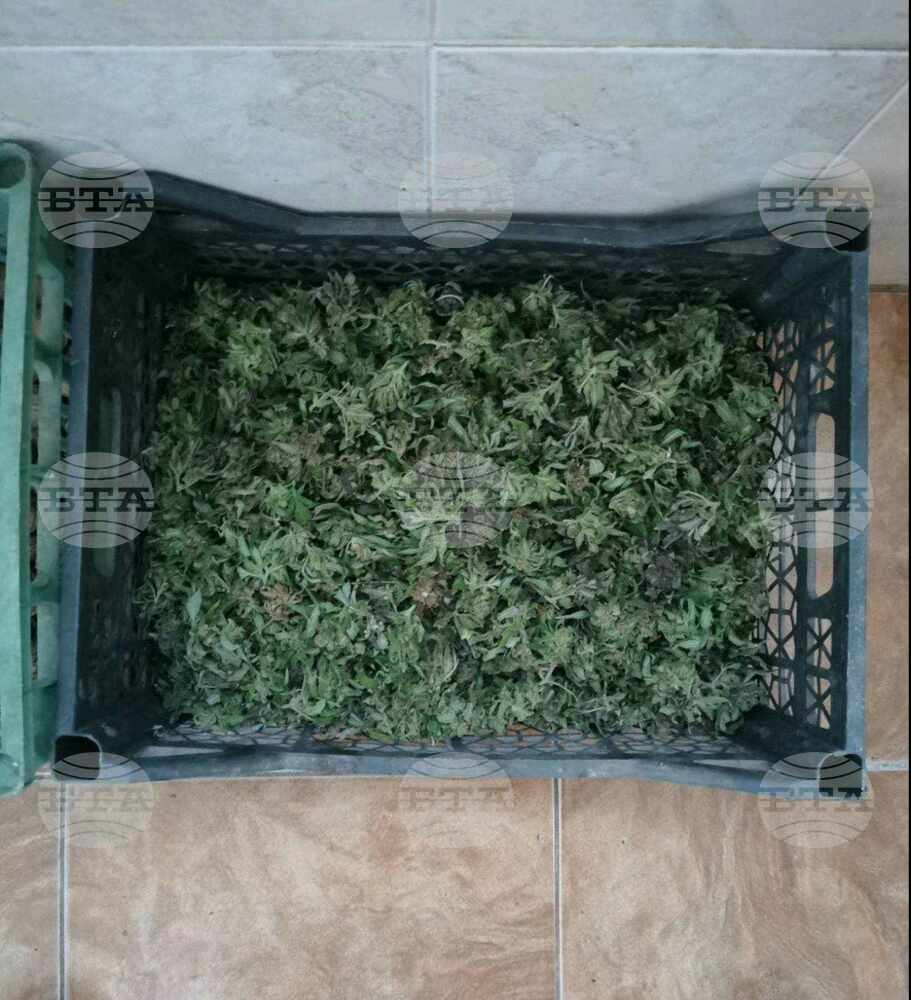 Криминалисти от Казанлък установиха и иззеха голямо количество марихуана след специализирана акция