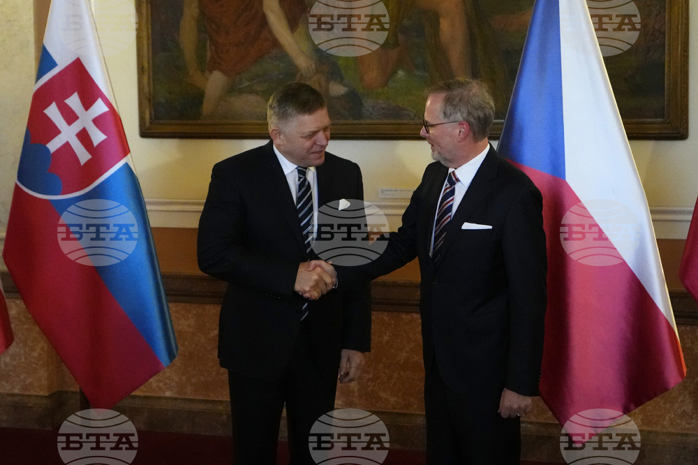 За какво (не) си говориха премиерите на Чехия и Словакия тази седмица в Брюксел?