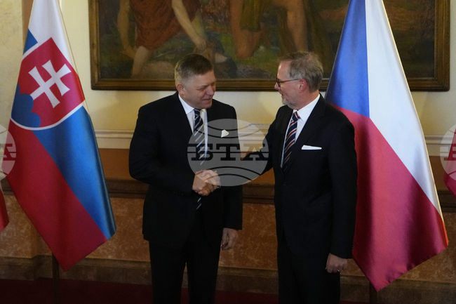 За какво (не) си говориха премиерите на Чехия и Словакия тази седмица в Брюксел?