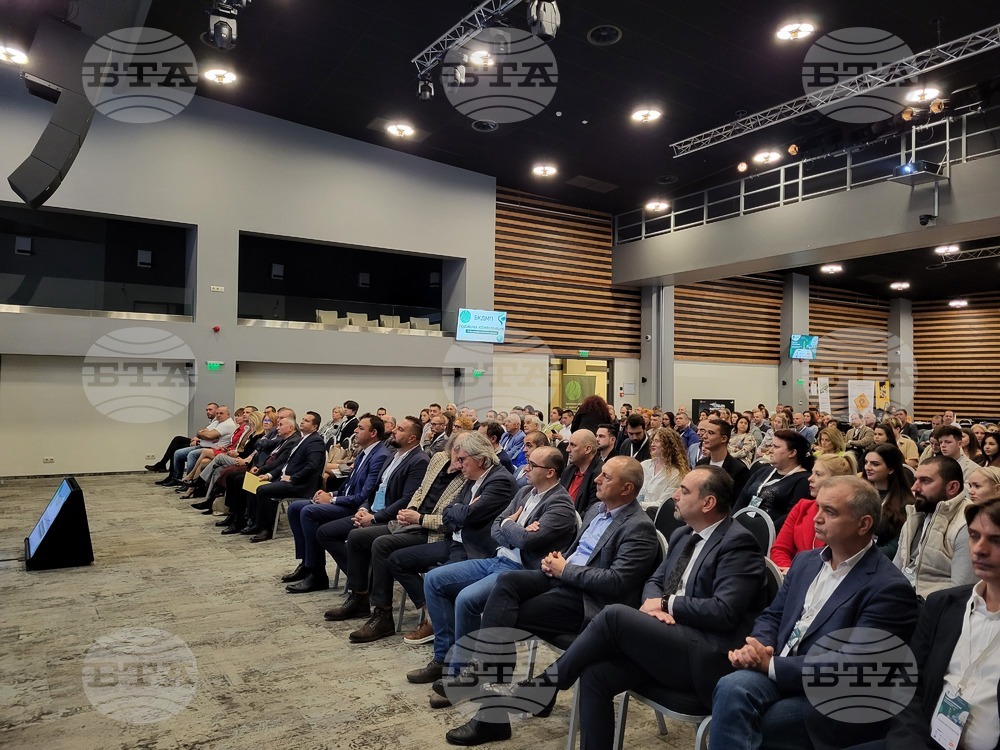 Боровец - Браншова камара на дървообработващата и мебелна промишленост