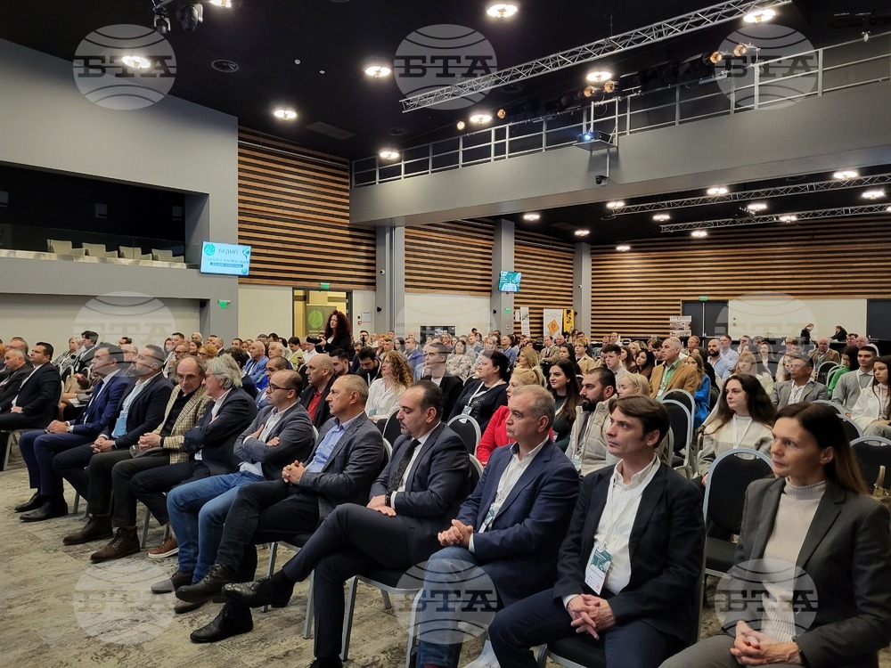 Боровец - Браншова камара на дървообработващата и мебелна промишленост